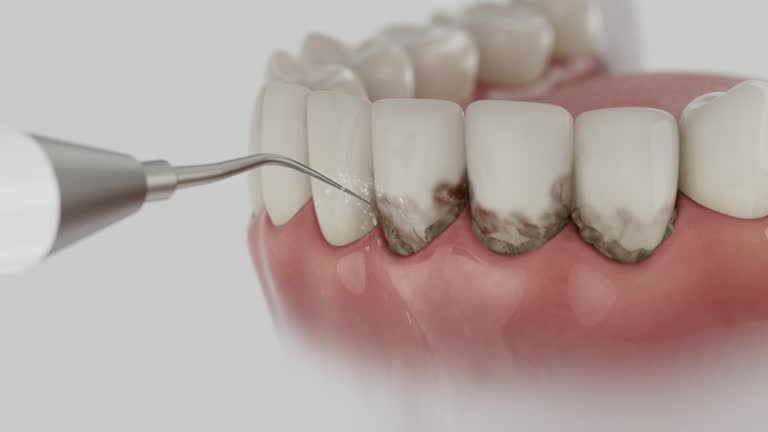 Reliable Dental contractor in Glassport, PA by Dentist Open Now